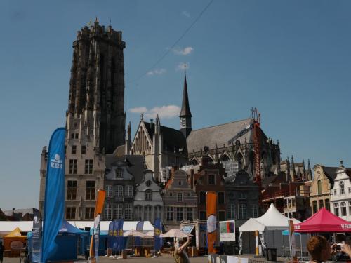 P1100526_собор св Румбольта.JPG