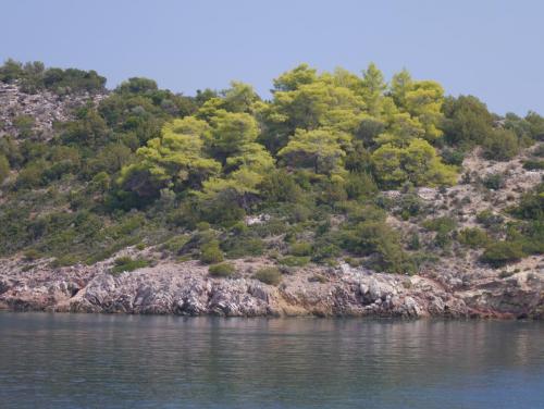 P1070664.JPG
