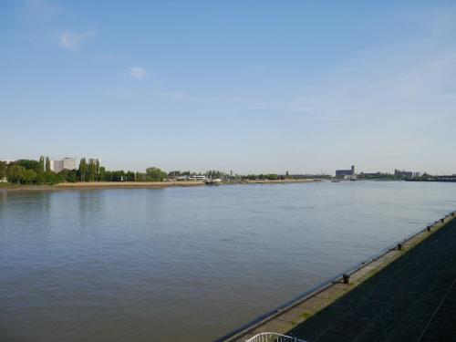 P1100314_набережная Шельды.JPG