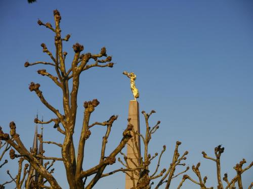 P1100561_площадь Восстания.JPG