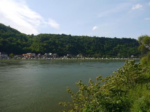 P1100725_самая узкая часть Рейна.JPG