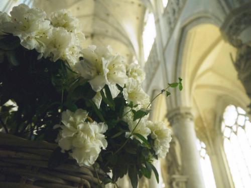 P1100532 копия.jpg