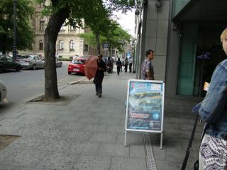 DSC01952.JPG