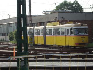 DSC01622.JPG