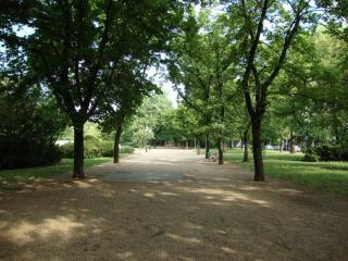DSC01813.JPG