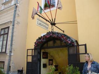 DSC01902.JPG