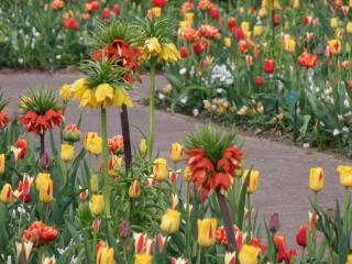DSCF1614.JPG