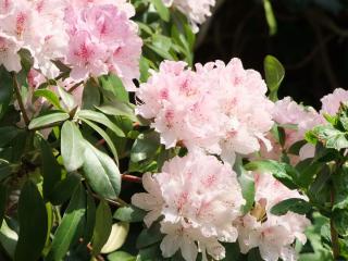 DSCF0744.JPG