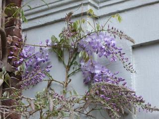 DSCF0764.JPG