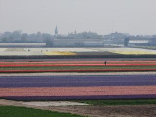 DSCF1788.JPG