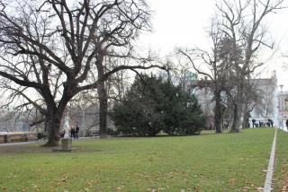IMG_4298.JPG