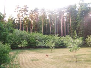 100_1497.JPG