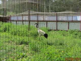 IMG_0040.JPG
