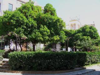 100_4260.JPG