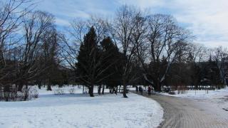 IMG_0077.JPG