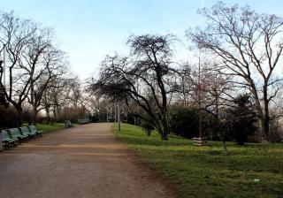 IMG_4161.JPG