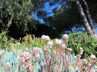 IMG_0084.JPG