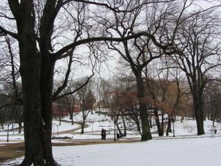 IMG_0026.JPG