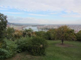 IMG_0010 (2).JPG