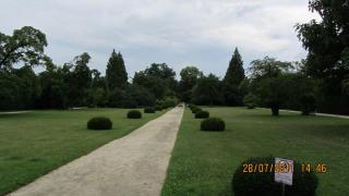 IMG_0243.JPG