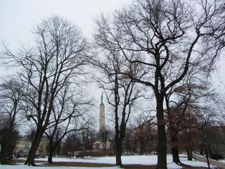 IMG_0030.JPG