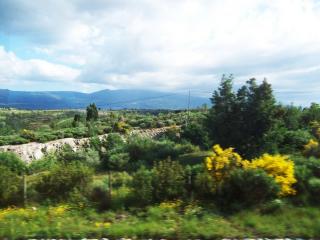 100_4519.JPG