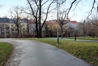 IMG_4225.JPG