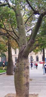 100_3724.JPG