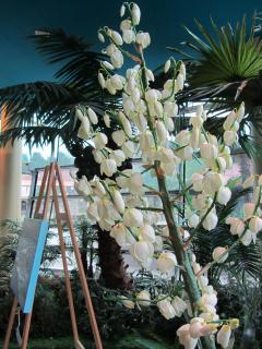 IMG_0014.JPG