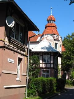 IMG_3764.JPG