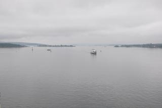DSC_2513.JPG