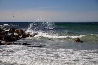 DSC_1483.JPG