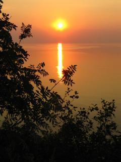 IMG_4313.JPG