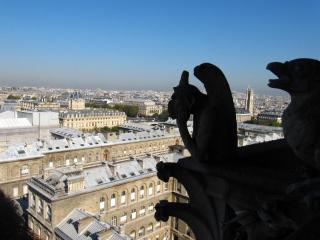 IMG_9637.JPG