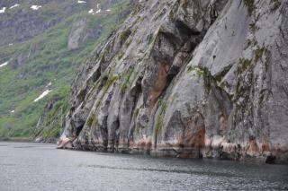 DSC_1140.JPG