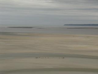 IMG_9155.JPG