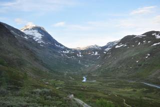 DSC_2029.JPG
