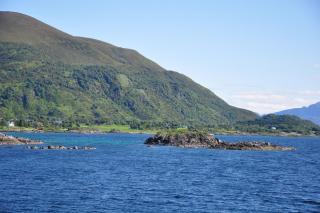 DSC_1303.JPG