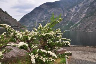 DSC_2098.JPG