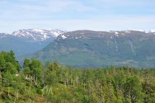 DSC_1728.JPG
