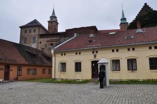 DSC_2503.JPG