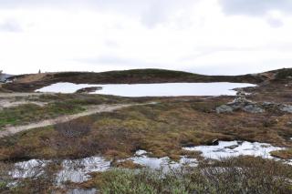DSC_1669.JPG