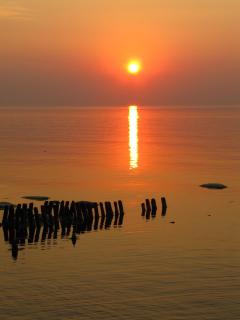IMG_4320.JPG