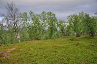 DSC_0369.JPG