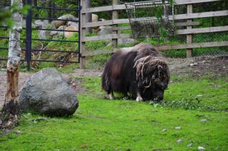 DSC_0324.JPG