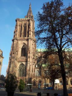 2011-09-28 09.08.07.jpg