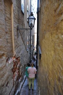 DSC_2713.JPG
