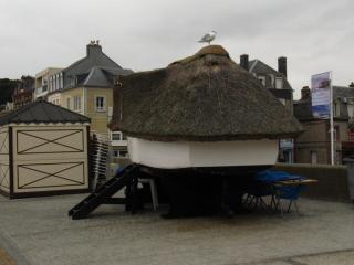 IMG_8974.JPG