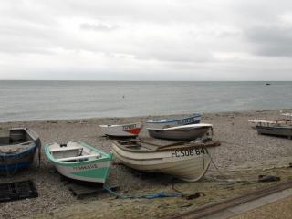 IMG_8973.JPG