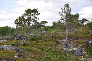 DSC_0749.JPG